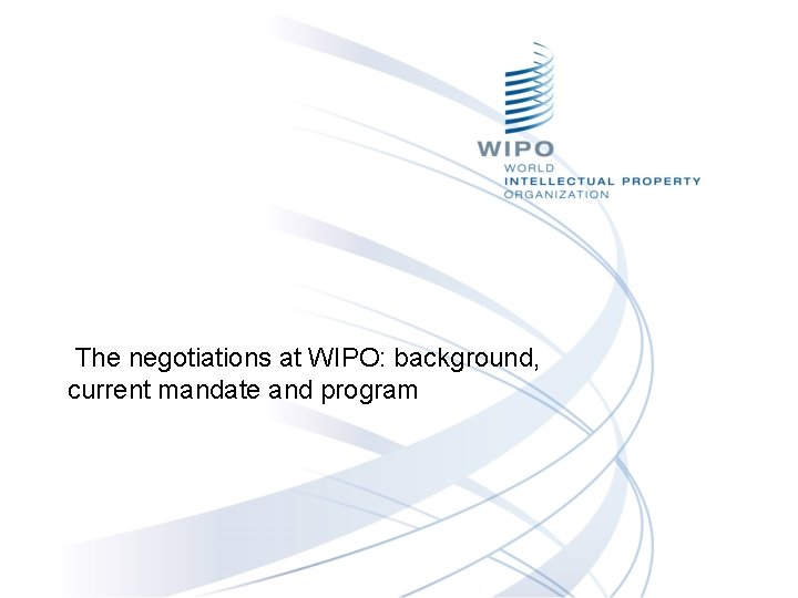 The negotiations at WIPO: background, current mandate and program 