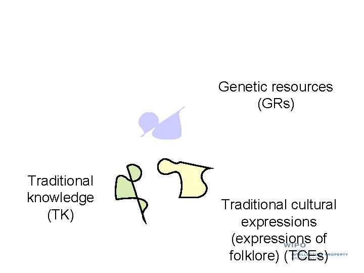 Genetic resources (GRs) Traditional knowledge (TK) Traditional cultural expressions (expressions of folklore) (TCEs) 