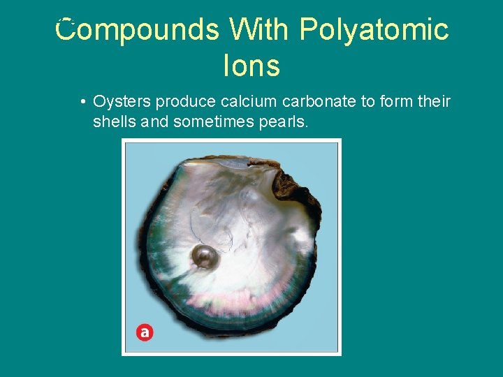 9. 2 Compounds With Polyatomic Ions • Oysters produce calcium carbonate to form their