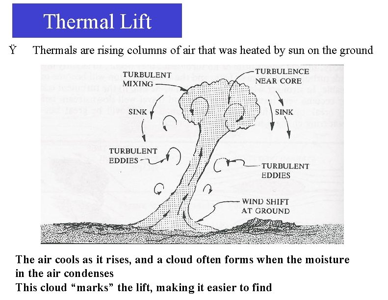 Thermal Lift Ÿ Thermals are rising columns of air that was heated by sun
