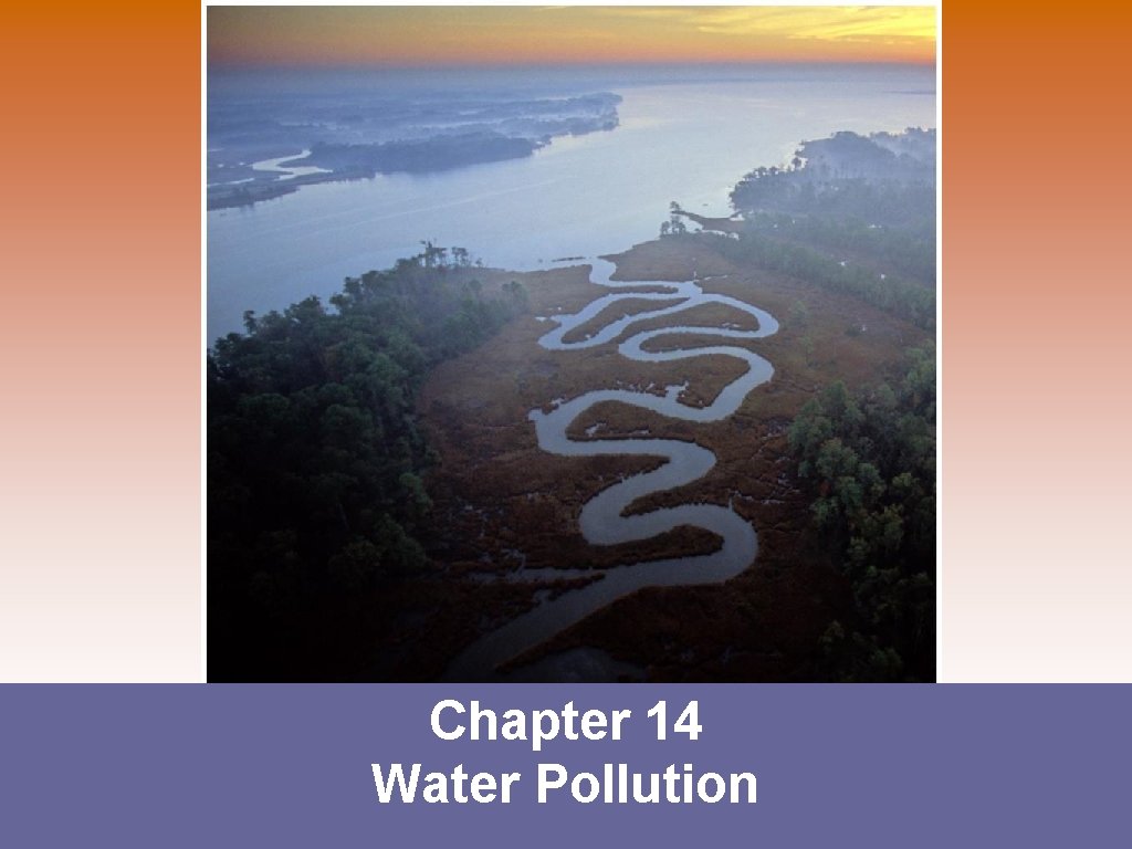 Chapter 14 Water Pollution 