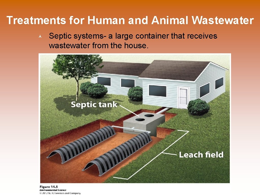 Treatments for Human and Animal Wastewater Septic systems- a large container that receives wastewater