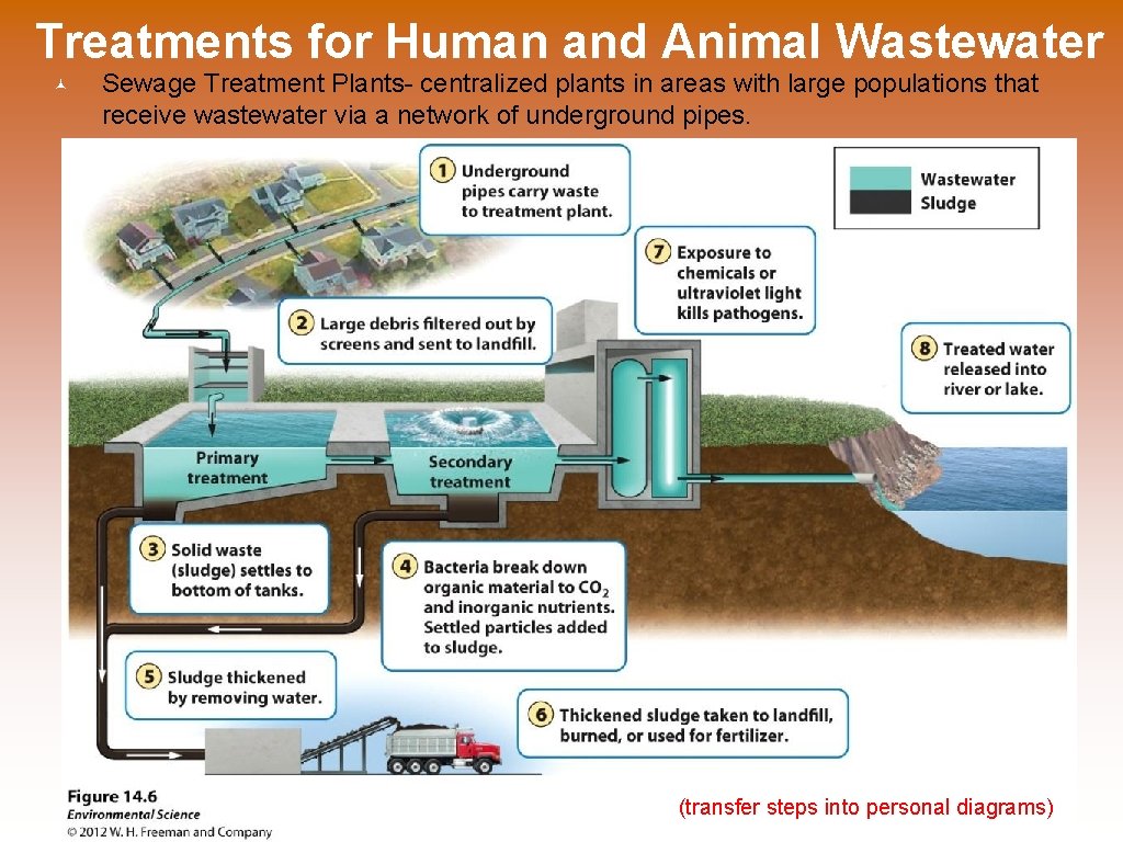 Treatments for Human and Animal Wastewater Sewage Treatment Plants- centralized plants in areas with