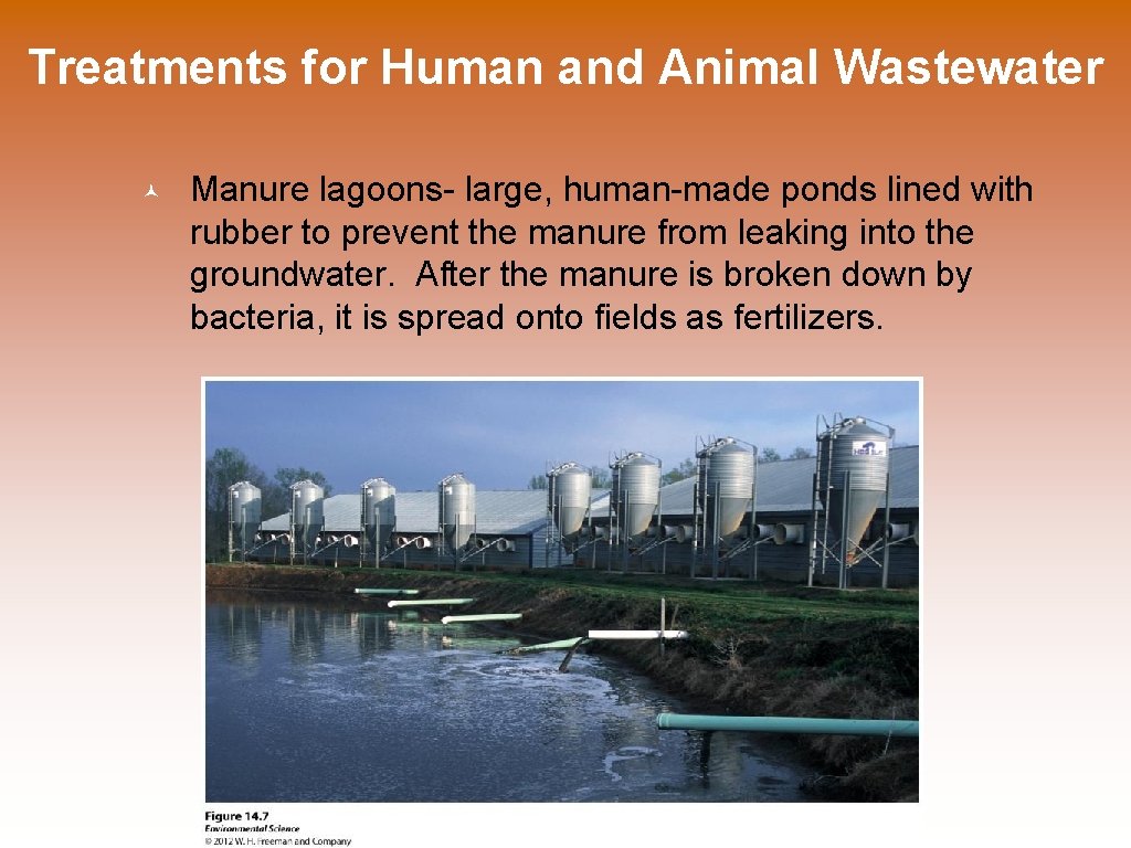Treatments for Human and Animal Wastewater Manure lagoons- large, human-made ponds lined with rubber