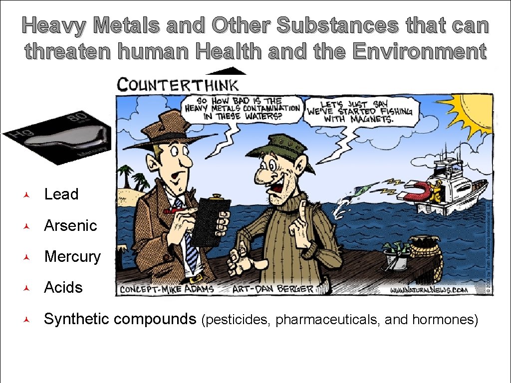 Heavy Metals and Other Substances that can threaten human Health and the Environment Lead