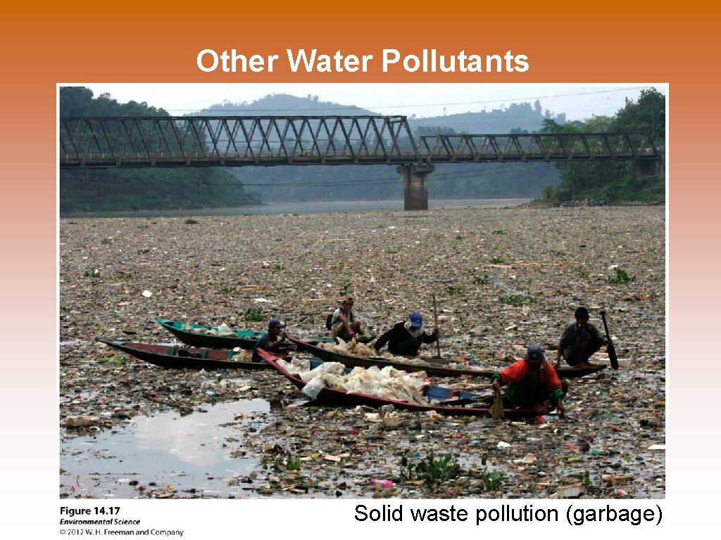 Other Water Pollutants Solid waste pollution (garbage) 