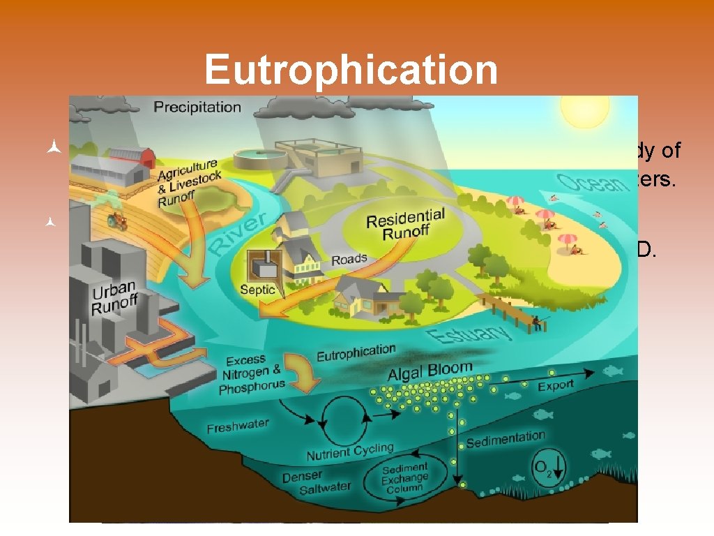Eutrophication is an abundance of fertility to a body of water - caused by