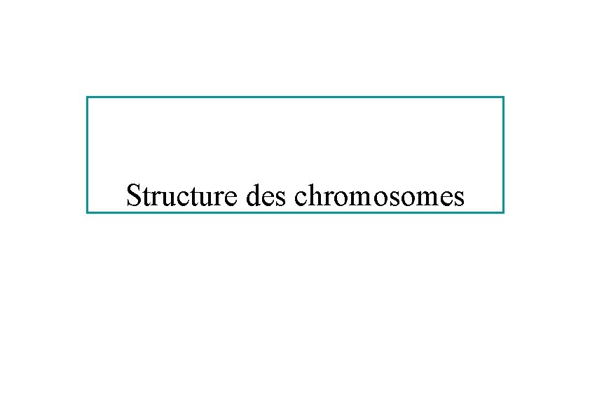 Structure des chromosomes 