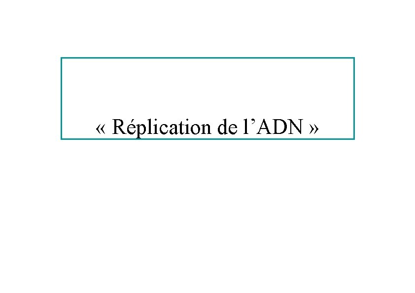  « Réplication de l’ADN » 