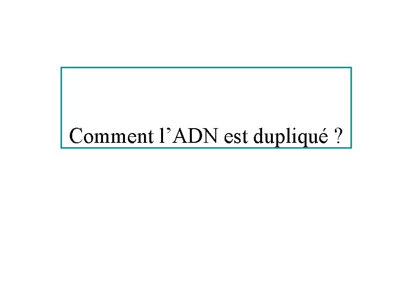 Comment l’ADN est dupliqué ? 