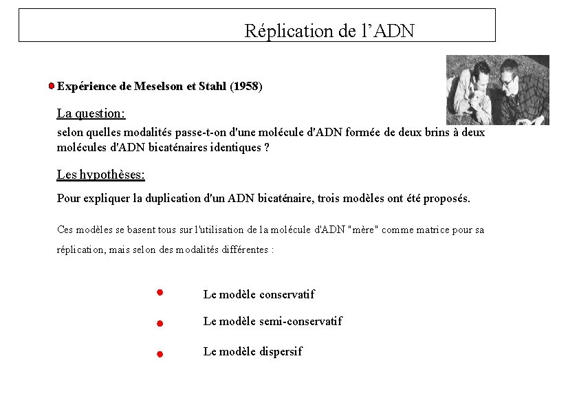 Réplication de l’ADN Expérience de Meselson et Stahl (1958) La question: selon quelles modalités