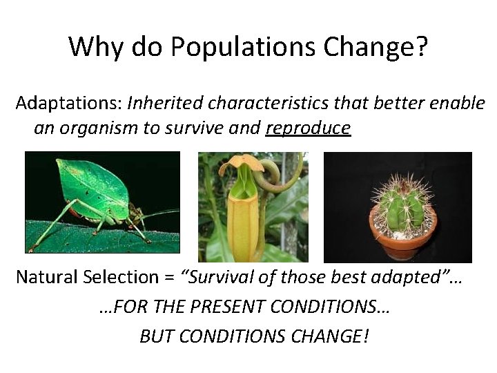 Why do Populations Change? Adaptations: Inherited characteristics that better enable an organism to survive