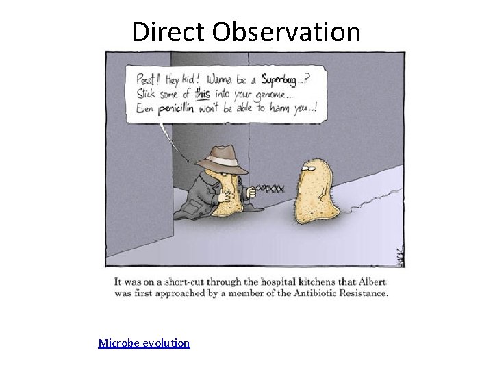 Direct Observation Microbe evolution 
