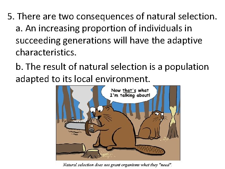 5. There are two consequences of natural selection. a. An increasing proportion of individuals