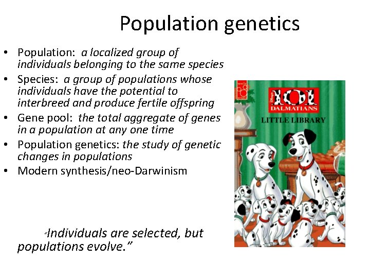 Population genetics • Population: a localized group of individuals belonging to the same species