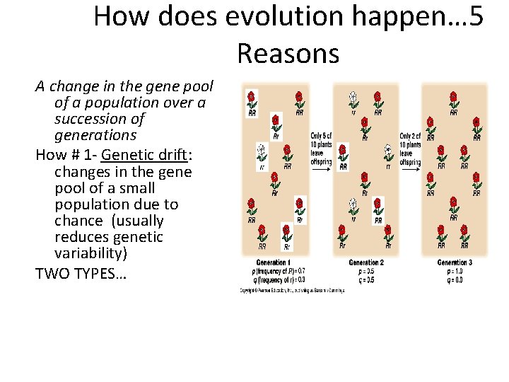 How does evolution happen… 5 Reasons A change in the gene pool of a