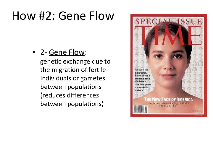 How #2: Gene Flow • 2 - Gene Flow: genetic exchange due to the