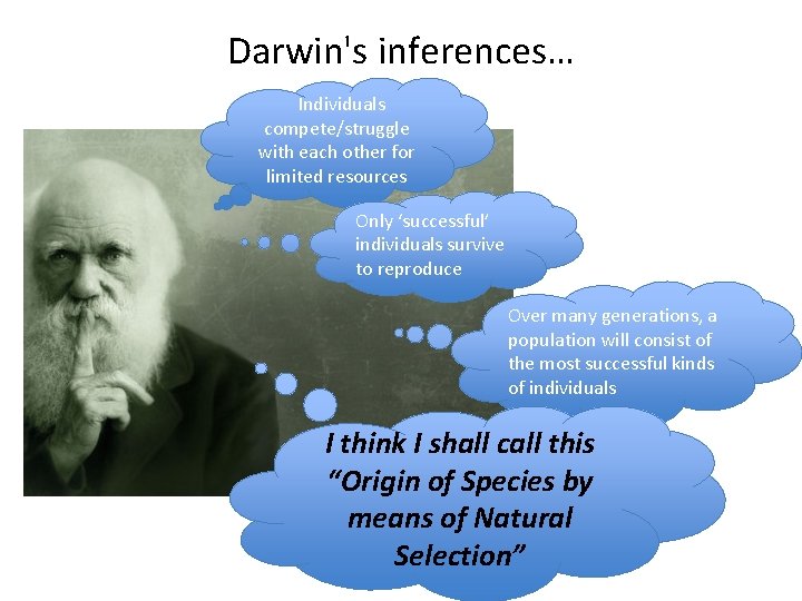 Darwin's inferences… Individuals compete/struggle with each other for limited resources Only ‘successful’ individuals survive