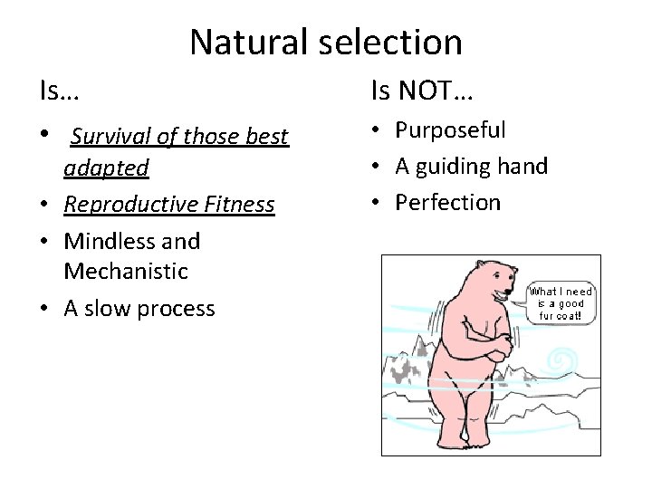 Natural selection Is… • Survival of those best adapted • Reproductive Fitness • Mindless