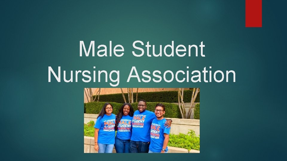 Male Student Nursing Association 