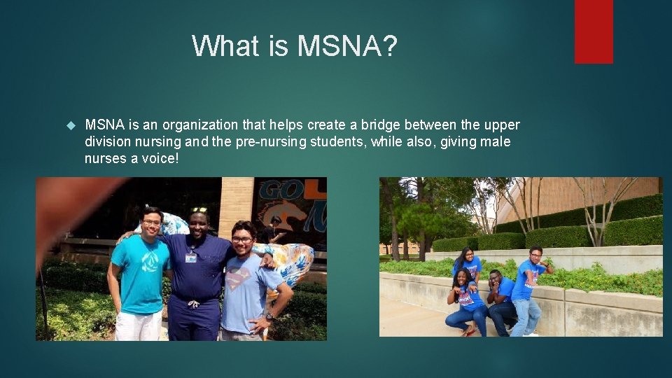 What is MSNA? MSNA is an organization that helps create a bridge between the