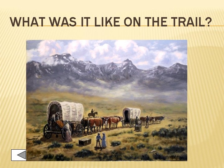 WHAT WAS IT LIKE ON THE TRAIL? 