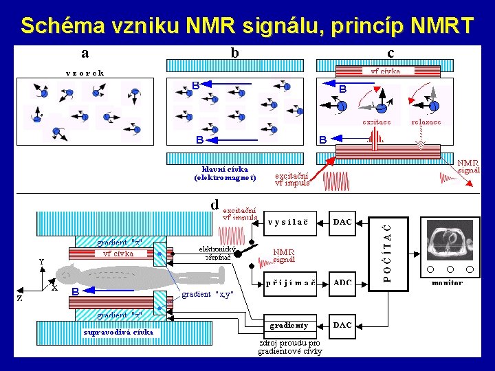 Schéma vzniku NMR signálu, princíp NMRT 