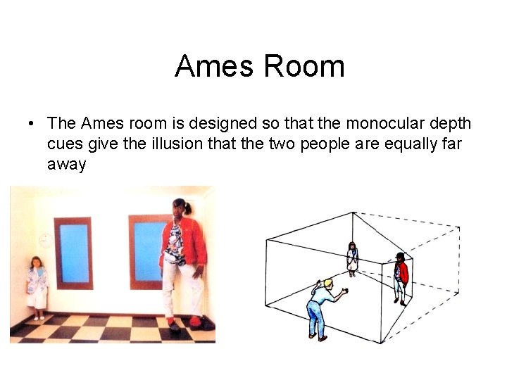 Ames Room • The Ames room is designed so that the monocular depth cues