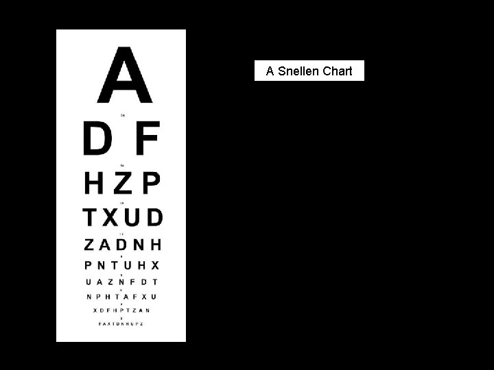 A Snellen Chart 