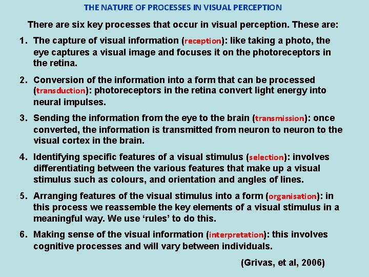 THE NATURE OF PROCESSES IN VISUAL PERCEPTION There are six key processes that occur