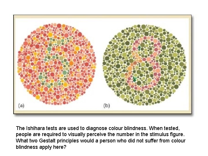 The Ishihara tests are used to diagnose colour blindness. When tested, people are required