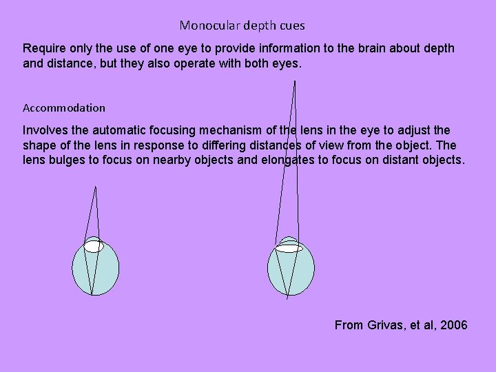 Monocular depth cues Require only the use of one eye to provide information to