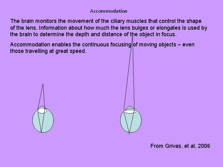 Accommodation The brain monitors the movement of the ciliary muscles that control the shape