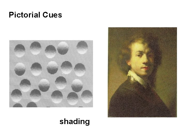 Pictorial Cues shading 