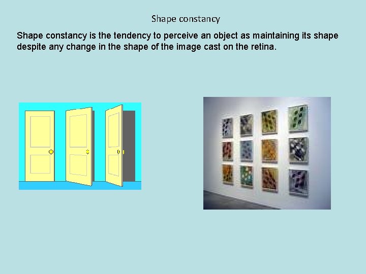 Shape constancy is the tendency to perceive an object as maintaining its shape despite