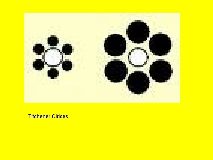 Titchener Cirlces 