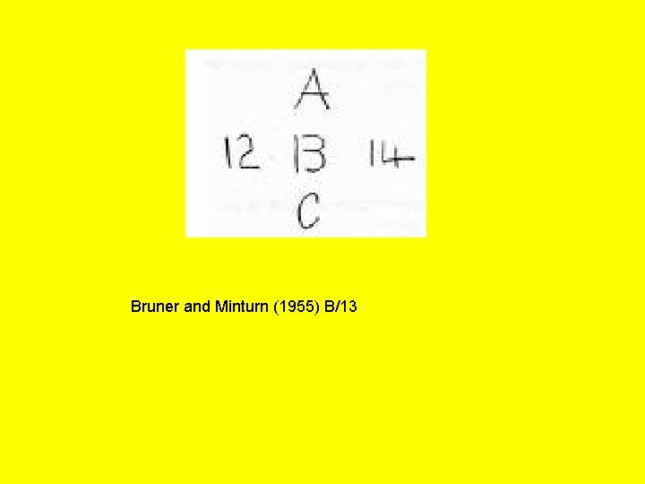 Bruner and Minturn (1955) B/13 