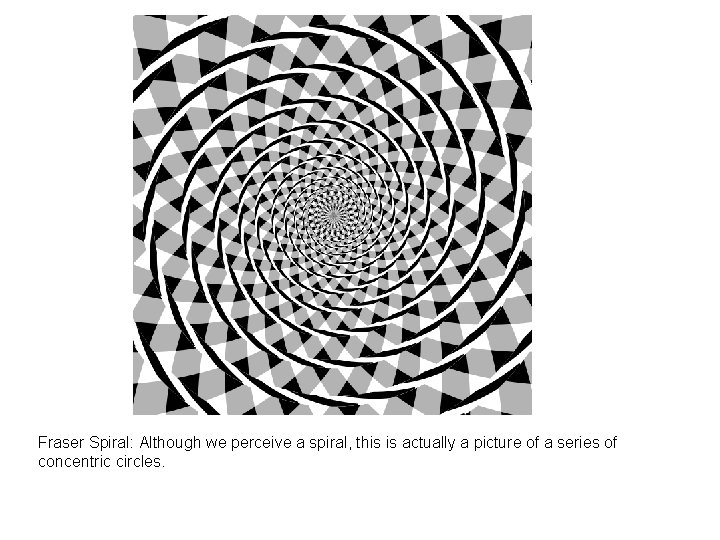 Fraser Spiral: Although we perceive a spiral, this is actually a picture of a