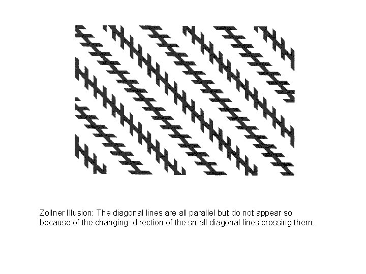 Zollner Illusion: The diagonal lines are all parallel but do not appear so because