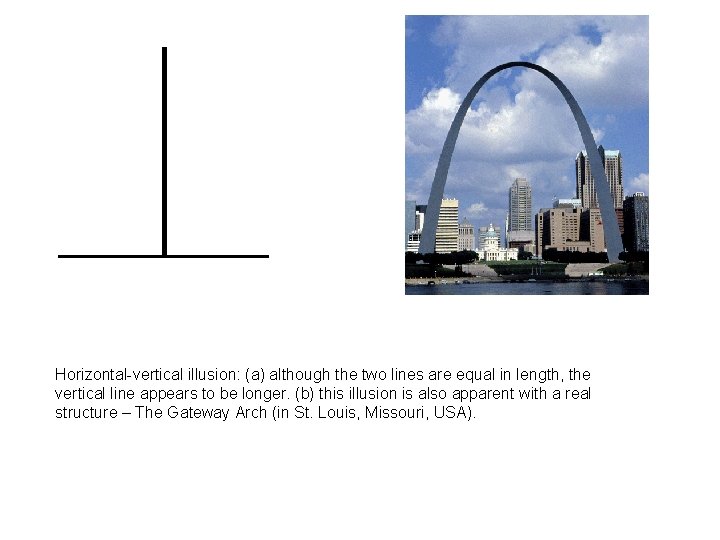 Horizontal-vertical illusion: (a) although the two lines are equal in length, the vertical line