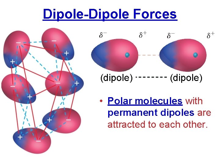 Dipole-Dipole Forces (dipole) • Polar molecules with permanent dipoles are attracted to each other.