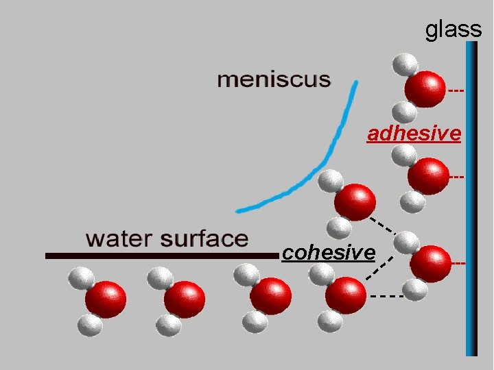 glass adhesive cohesive 