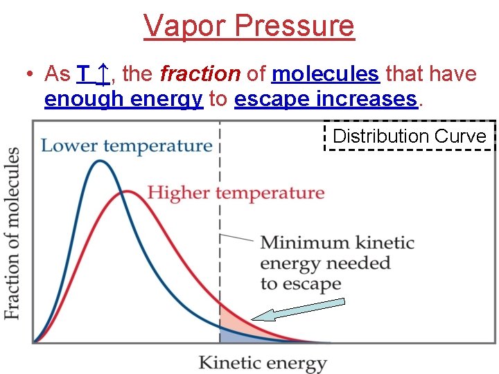 Vapor Pressure • As T ↑, the fraction of molecules that have enough energy