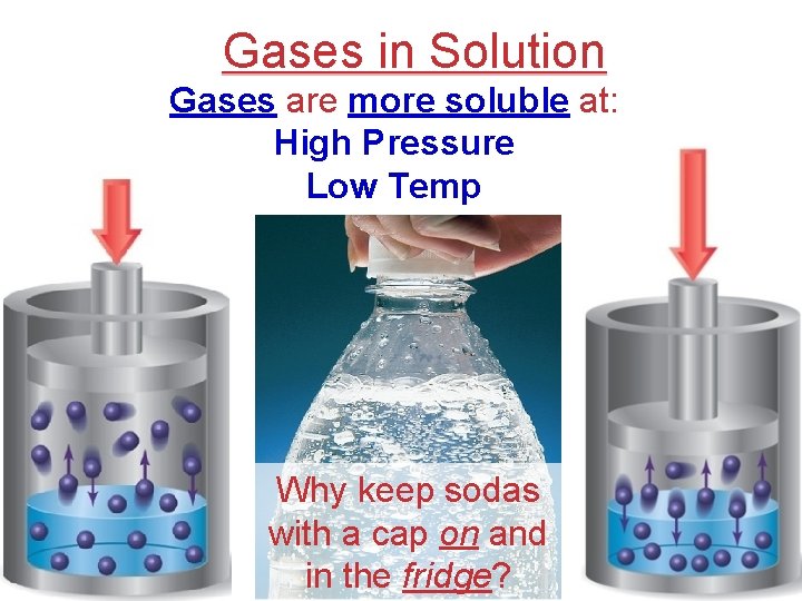 Gases in Solution Gases are more soluble at: High Pressure Low Temp Why keep