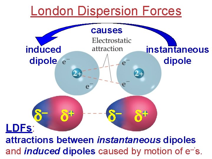 London Dispersion Forces causes induced dipole d LDFs: + d instantaneous dipole d +