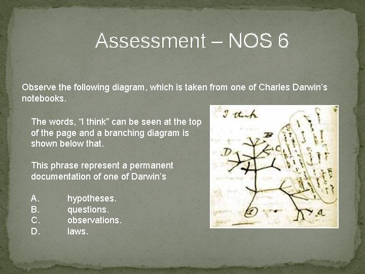 Assessment – NOS 6 Observe the following diagram, which is taken from one of