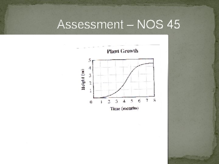 Assessment – NOS 45 