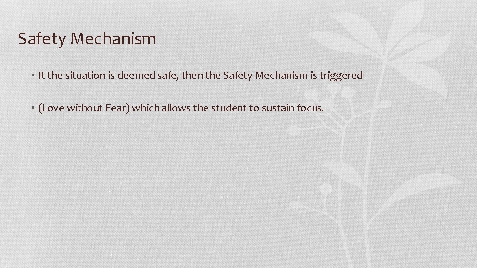 Safety Mechanism • It the situation is deemed safe, then the Safety Mechanism is