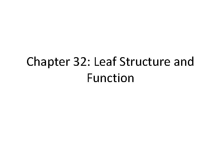Chapter 32: Leaf Structure and Function 