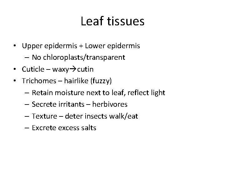 Leaf tissues • Upper epidermis + Lower epidermis – No chloroplasts/transparent • Cuticle –